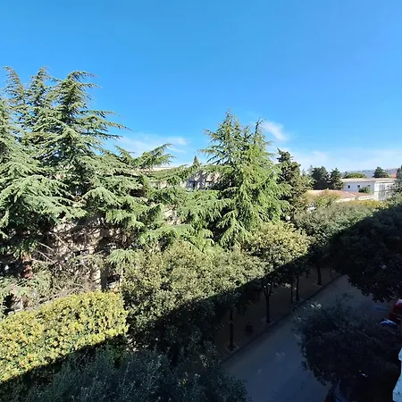 Amorentia * 자다르